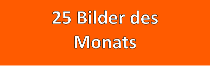 25 Bilder des Monats