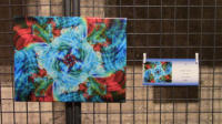 30x40 Leinwand � 40,-