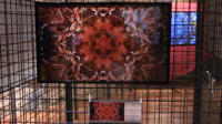 51x31 Kunststoffrahmen � 70,-