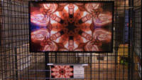 51x31 Kunststoffrahmen � 70,-