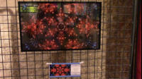 51x31 Kunststoffrahmen � 70,-